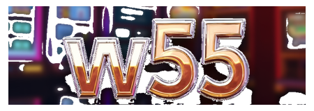 w55 logo